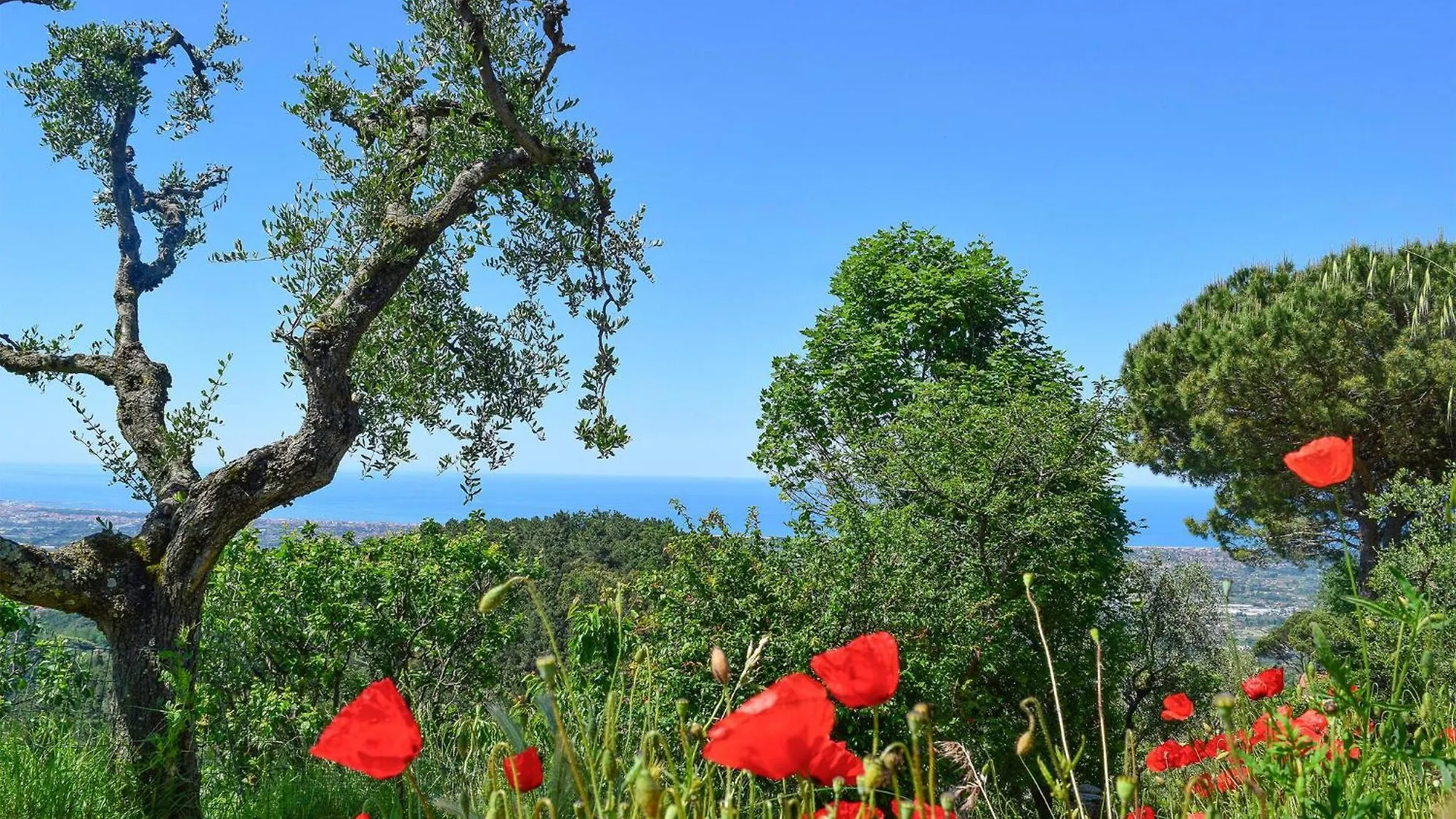 3 Bedroom Gorgeous Home In Camaiore